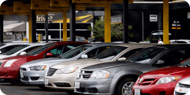 Fleet of rental cars